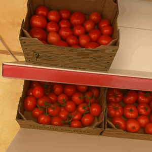 World Green Company, теплица уральск, оценка теплицы