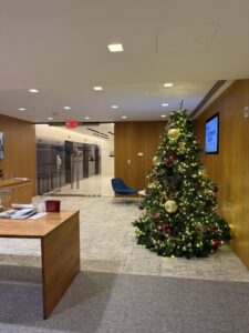 Екатерина Азовская, PKF O'Connor Davies