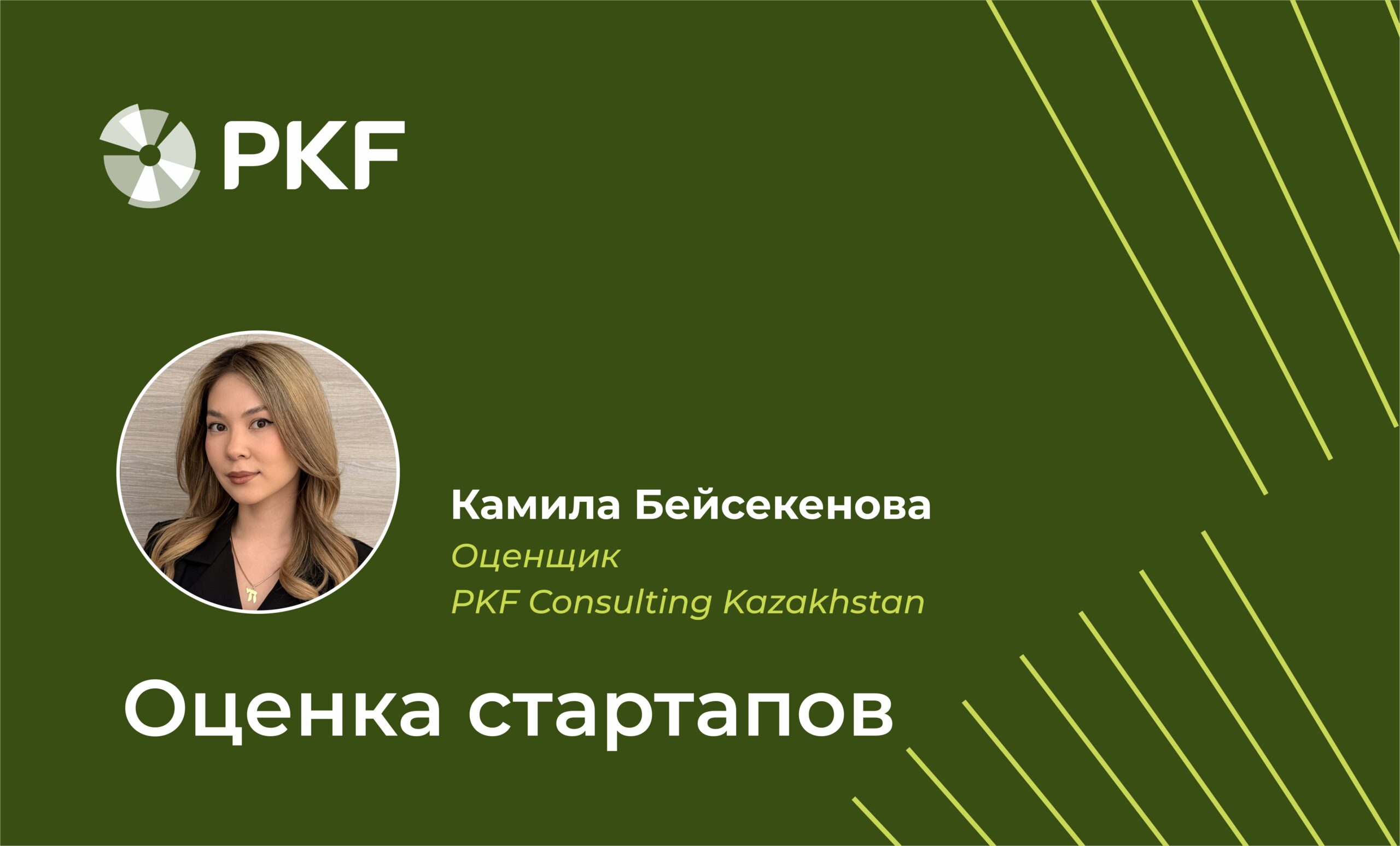 оценка стартапов и инвестиционных проектов в казахстане, pkf consulting kazakhstan
